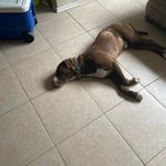 Timothy Edgar Powell - @tpo0072 - Instagram