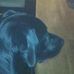 Edgar Pratt - Facebook