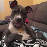 Edgar Ivan Prospero Hernandez - @edgarivanprosperohernandez - Instagram
