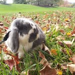 Edgar Allen Pugh & Luna Winona Pugh - @edgarallenpugh - Instagram