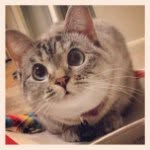 Edgar Quinn - @iliketurtles030 - Instagram