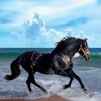 Jorge Edgardo Rambo - Facebook