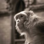 Edgar Raphaël - @unserhumanovivo - Instagram