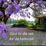 Edgar Roldan - @edgar.roldan.503 - Instagram