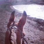 Edgar Saenz Garcia - @edgarsaenzgarcia - Instagram