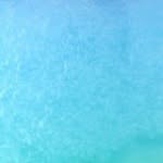 Edgar sharp - @ccms_night.night - Instagram