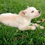Edgar sorto - @sorto7441 - Instagram