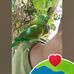 Edgar Sorto - Facebook