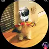 Edgar Sotelo - @edgar.sotelo50 - TikTok