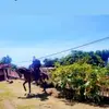 Edgar Sotelo - @edgar.sotelo69 - TikTok
