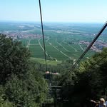 Edgar Stein - @edgar.stein.10 - Instagram