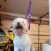 Edgar Supetran - Facebook