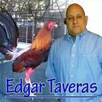 Edgar Taveras - @taveras9897 - Instagram