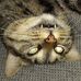 Edgar Thies - Facebook