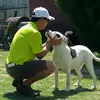 Edgar Thomas - @edgar.thomas8 - TikTok
