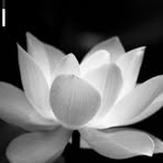 Edgar Tran - Facebook