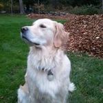 Edgar Stella-Turner - @111edgar - Instagram