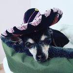 Ty - @tyson_edgardo - Instagram