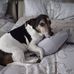 Edgar Ullrich - Facebook
