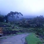 Edgar Urbaez Teran - @ricardovalera3030 - Instagram