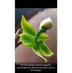 Edgar Vaca - Facebook