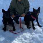 Edgar G. Vadillo Barajas - @black_german_sheper - Instagram