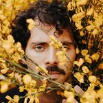 Edgar Valente - @edgarovalente - Instagram