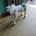 Edgar Vidal - Facebook
