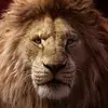 EdgarVidal - @edgar.vidal21 - TikTok