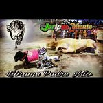Edgar Vides - @vides_edgar - Instagram