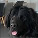 Edgar Wagner - Facebook