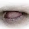 edgarfrankwallace - @edgarfrankwallace - TikTok