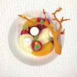 Nikita Joerg - @edgarweissmann43 - Instagram