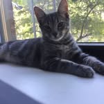 Edgar Wood - @edgarlwood - Instagram