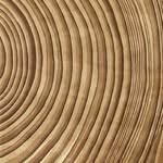 EdgarWood - @edgarwood2083 - Instagram