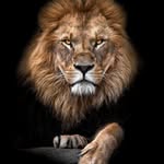 Edgard Pardave Dominguez - @edgardpardave1972 - Instagram