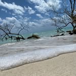 Edgardo Dominguez - @edgardo_dominguez.585 - Instagram
