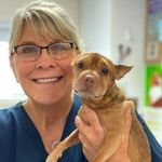 Dr. Edie Best - @thebestfromdr.best - Instagram
