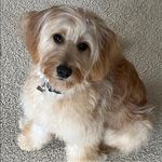 Edie Clark Hartman - @edie409 - Instagram