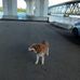 Eddie Collins - Facebook