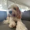 Eddie - @edie.collins1 - TikTok