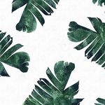 Edie - @ediedavis_ - Instagram