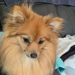 Edie Howard - @whoami1598 - Instagram