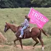 eddieulrich - @eddie.ulrich0 - TikTok