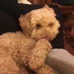 Edie Wilson - @wilson_edie - Instagram