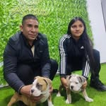 Edil Rodriguez - @edil.rodriguez.10048 - Instagram