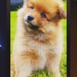 Edil Rodriguez - @edil.rodriguez.1213 - Instagram