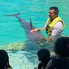 Edilberto Chi - @edilberto.chi1 - TikTok
