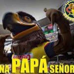 Edilberto Hernandez - @edilbertohdez123 - Instagram