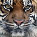 Edilberto Obregon - Facebook